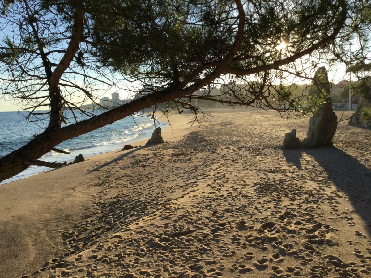 Politur Apartman Platja d'Aro Kültér fotó